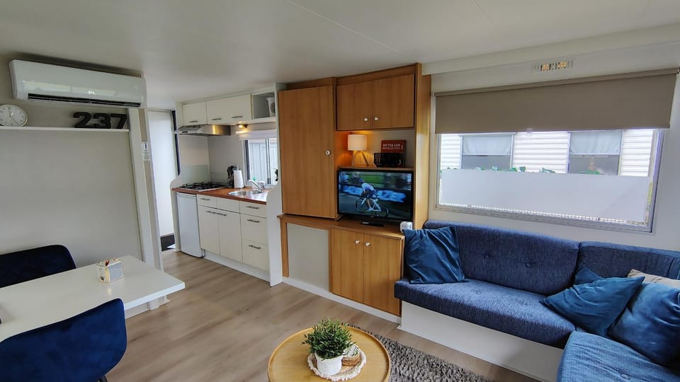 TV and multimedia