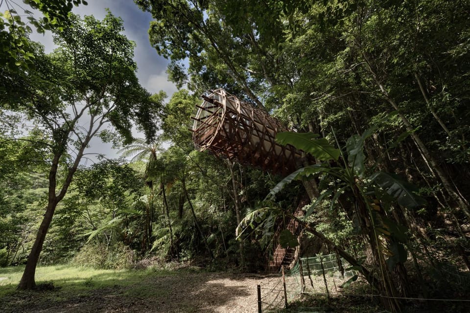 Treeful Treehouse Sustainable Resort Okinawa Hotel in Okinawa Prefecture