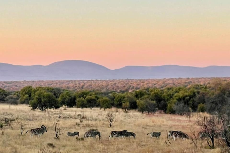 Lodge on Watering Hole , Zebula House in North West, South Africa