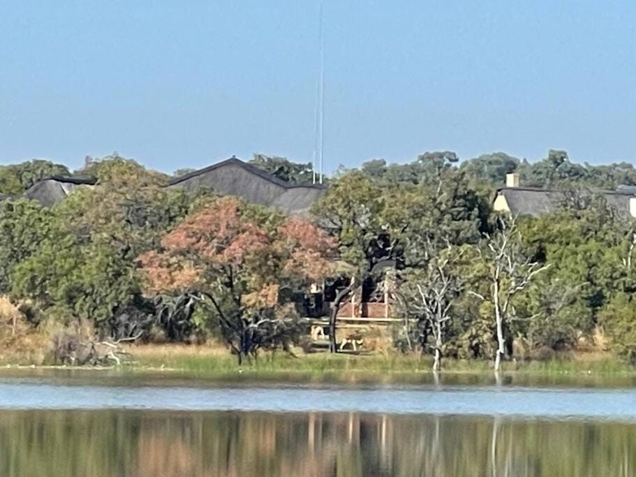 Lodge on Watering Hole , Zebula House in North West, South Africa
