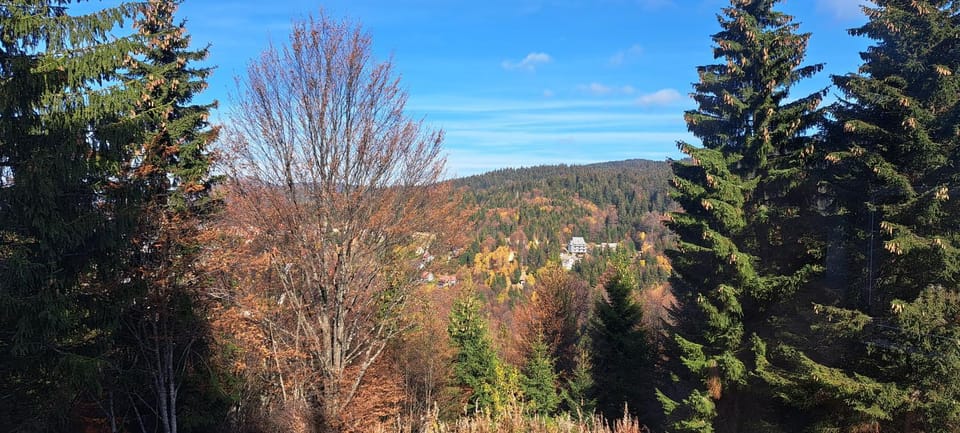 View (from property/room)