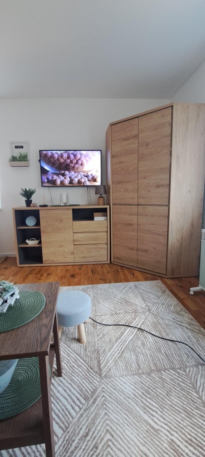 Communal lounge/ TV room, TV and multimedia, Living room, Seating area, Bedroom, hair dresser