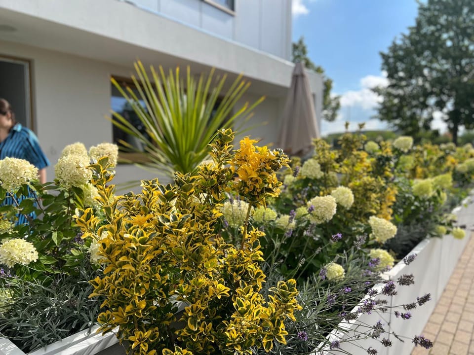 Property building, Balcony/Terrace