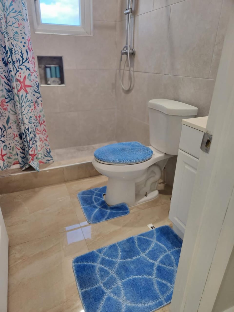 Shower, Toilet, Bathroom
