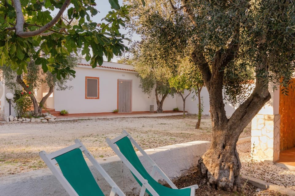 Property building, Garden, Garden view
