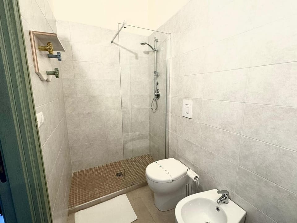 Shower, Toilet, Bathroom, bidet