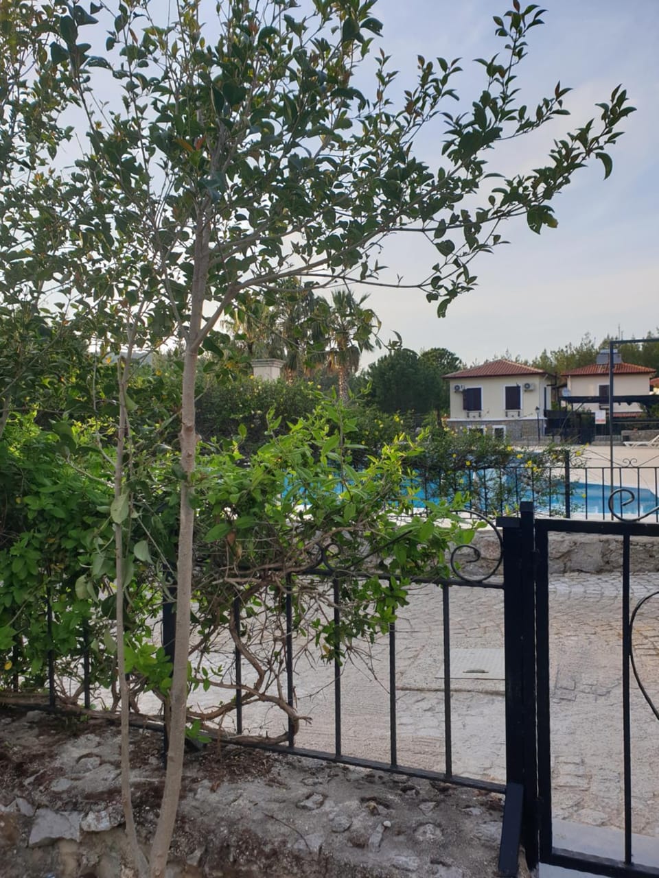 Fethiyede Mükemmel Tatilin Adres Villa in Ölüdeniz