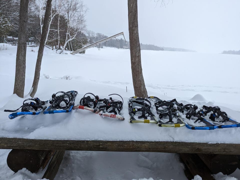 Natural landscape, Activities, Winter, Hiking, On site