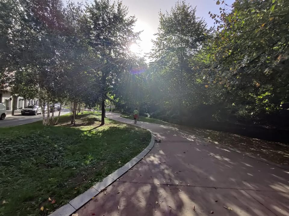 Day, Natural landscape, Garden, Garden view