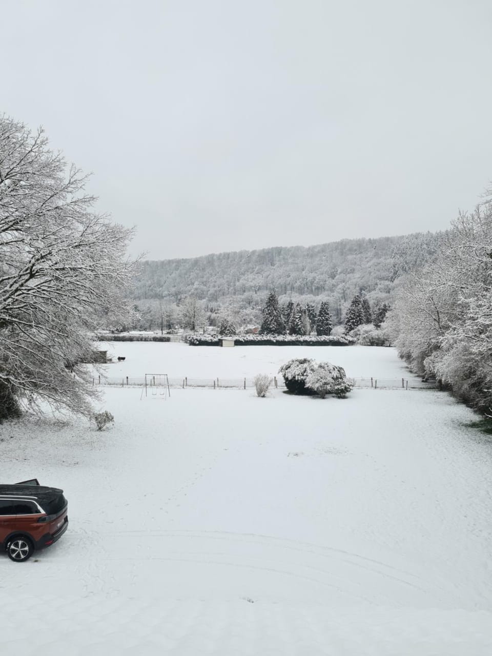 Natural landscape, Winter