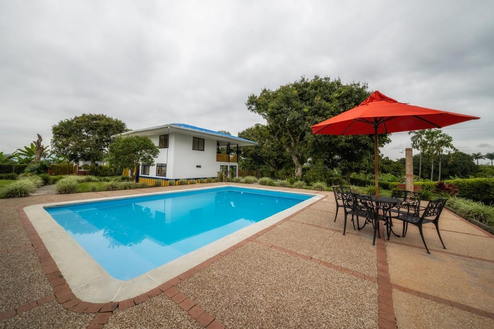 Day, Garden view, Swimming pool