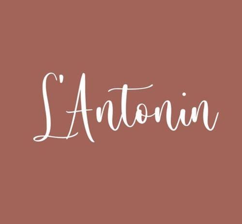 CHAMBRES D'HOTES L'ANTONIN Bed and Breakfast in Auvergne-Rhône-Alpes