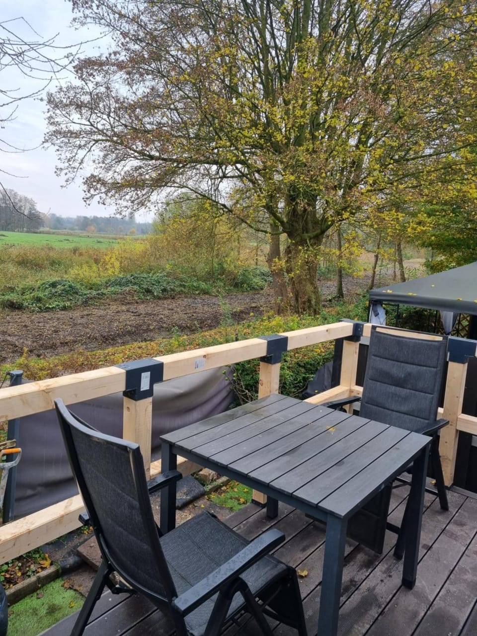 Natural landscape, Seating area, Garden view