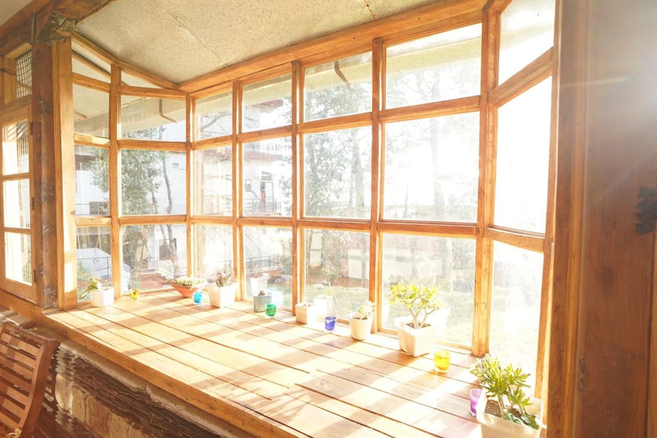Patio, People, View (from property/room), Pets