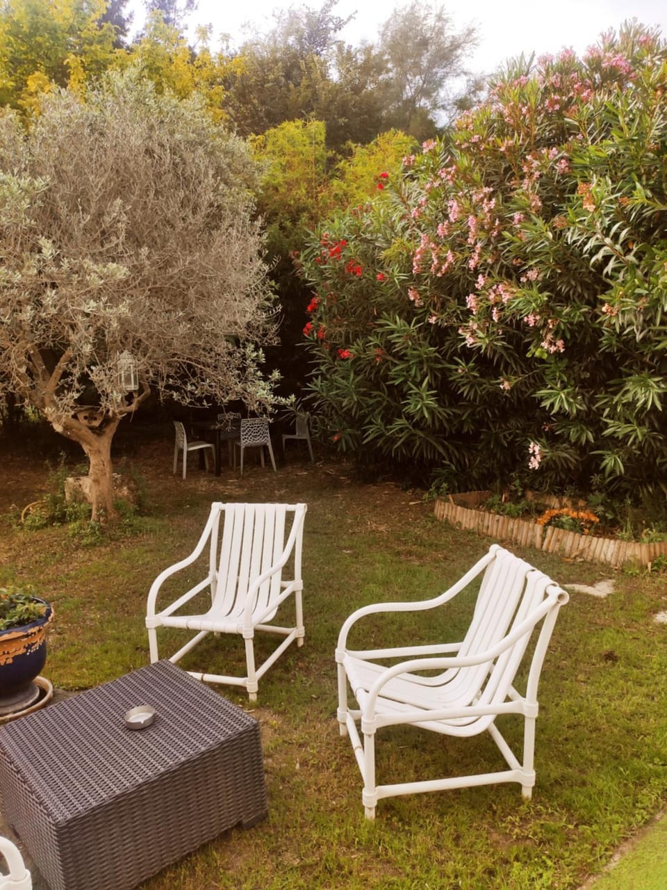 mas de l' Olivier Apartment in Arles