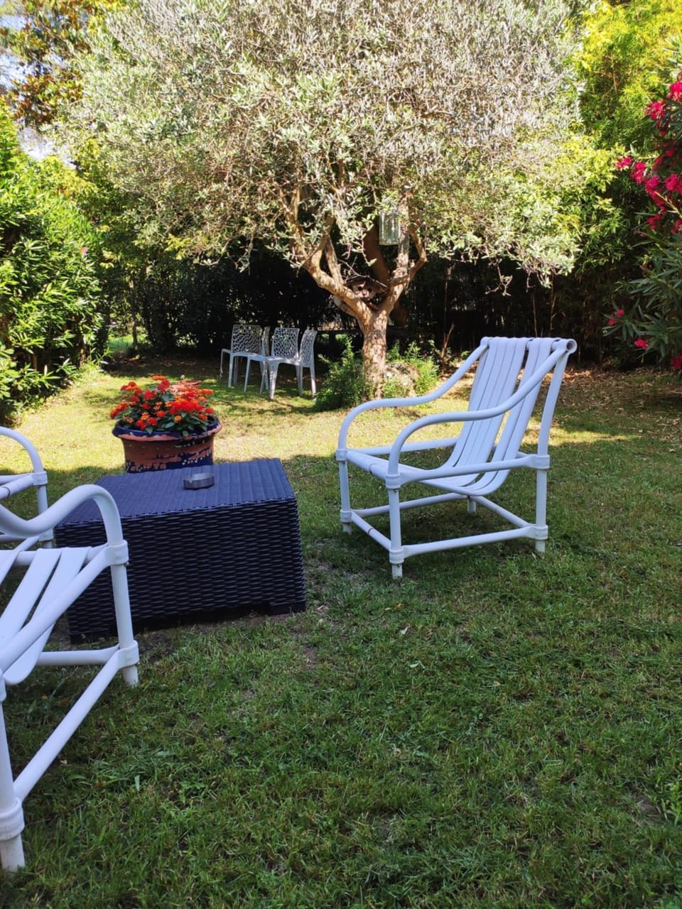 mas de l' Olivier Apartment in Arles