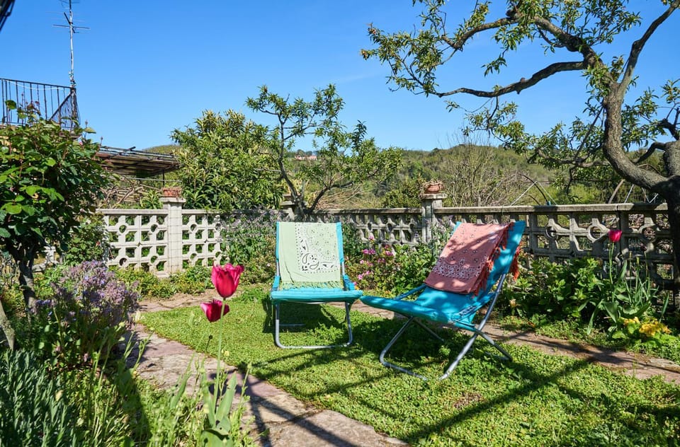 Natural landscape, Garden, Garden