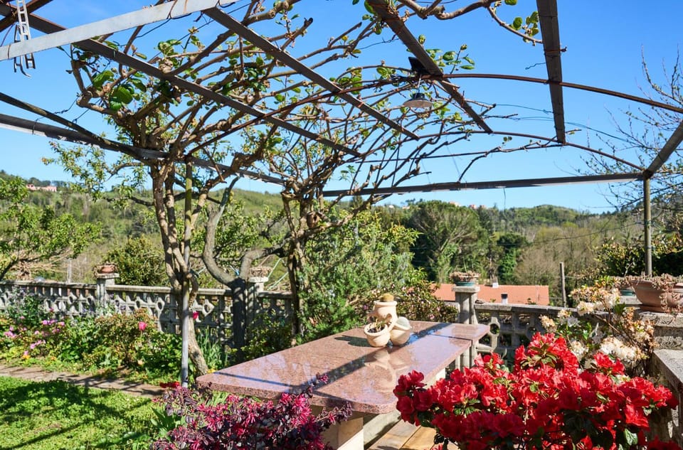 Patio, Garden, Dining area