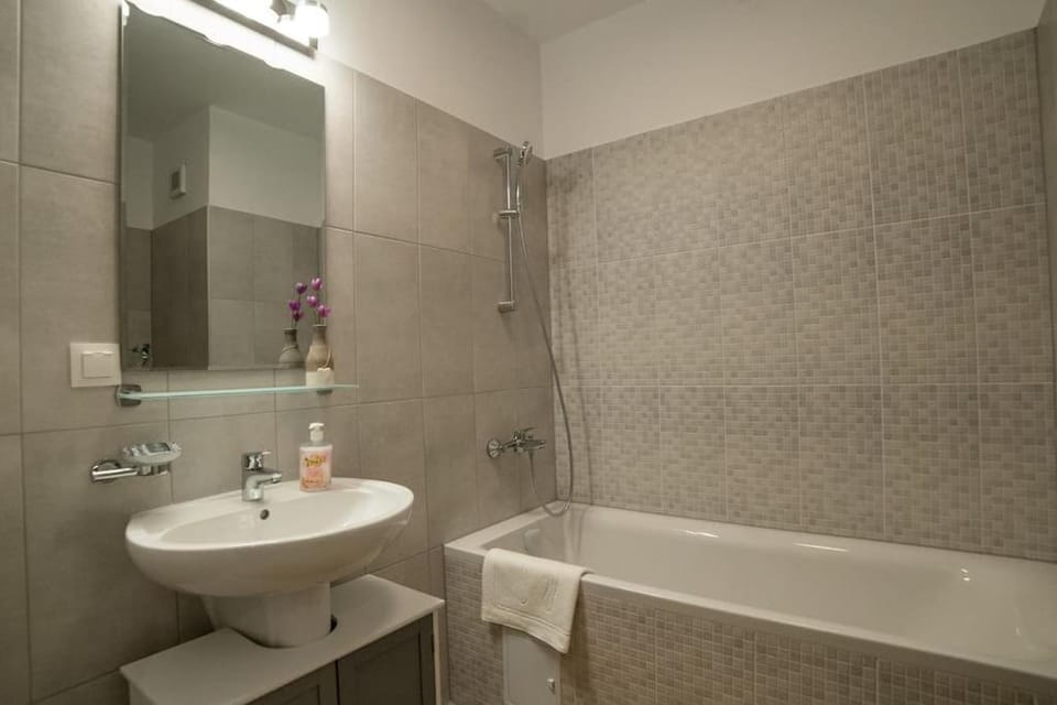 Carpe Diem Travel Apartment in Timisoara
