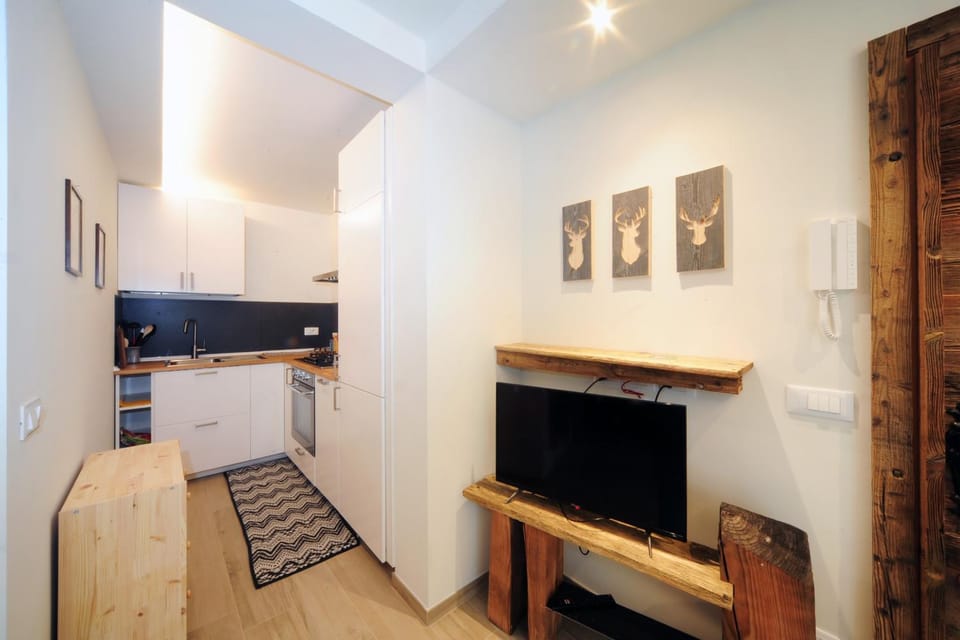 TV and multimedia, Kitchen or kitchenette, dishwasher, pet friendly, stove