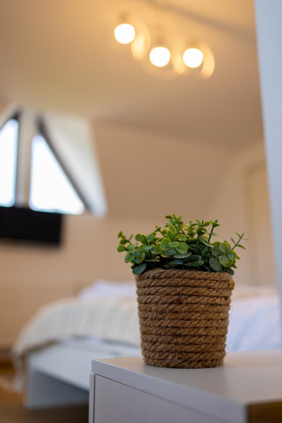 Photo of the whole room, Decorative detail, Bedroom