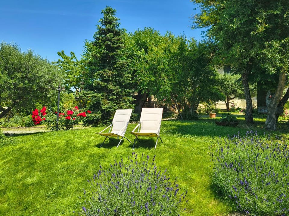 Garden view, sunbed