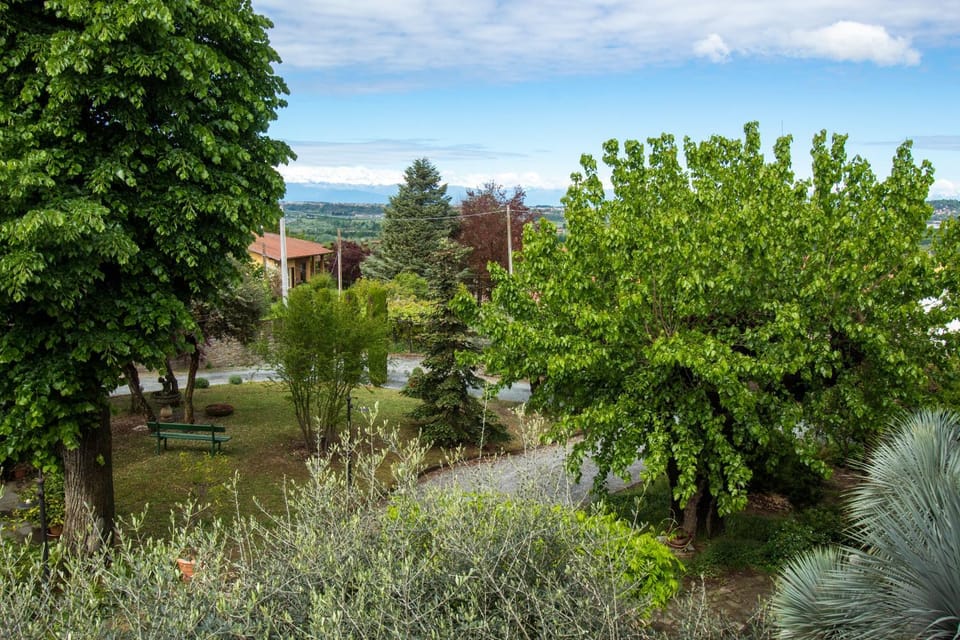 Garden, View (from property/room), Garden view