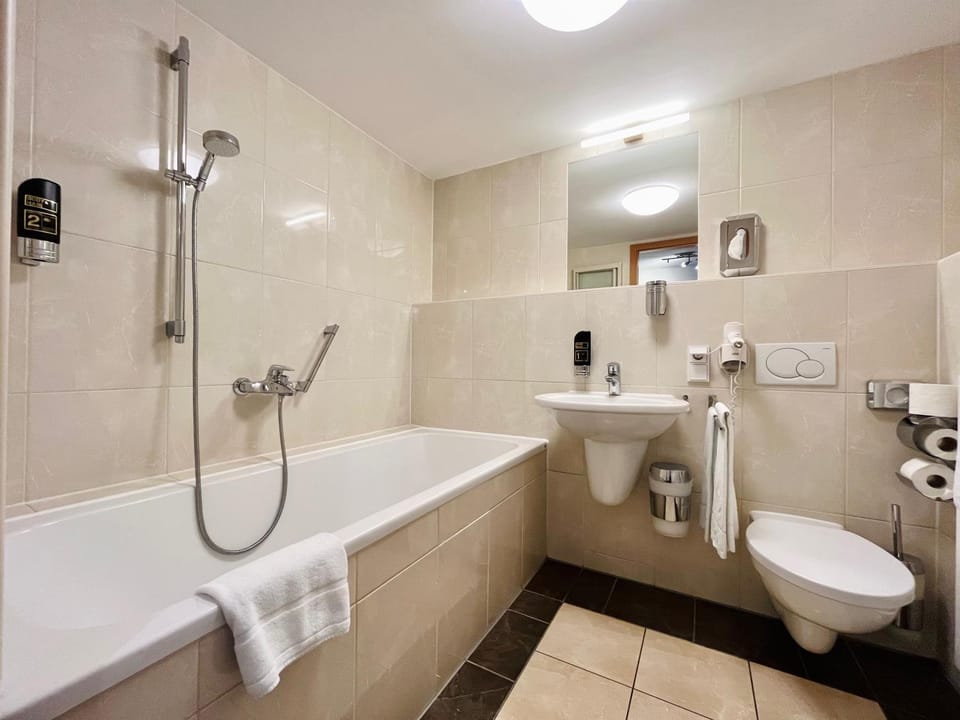 Shower, Toilet, Bathroom, Bath, towels