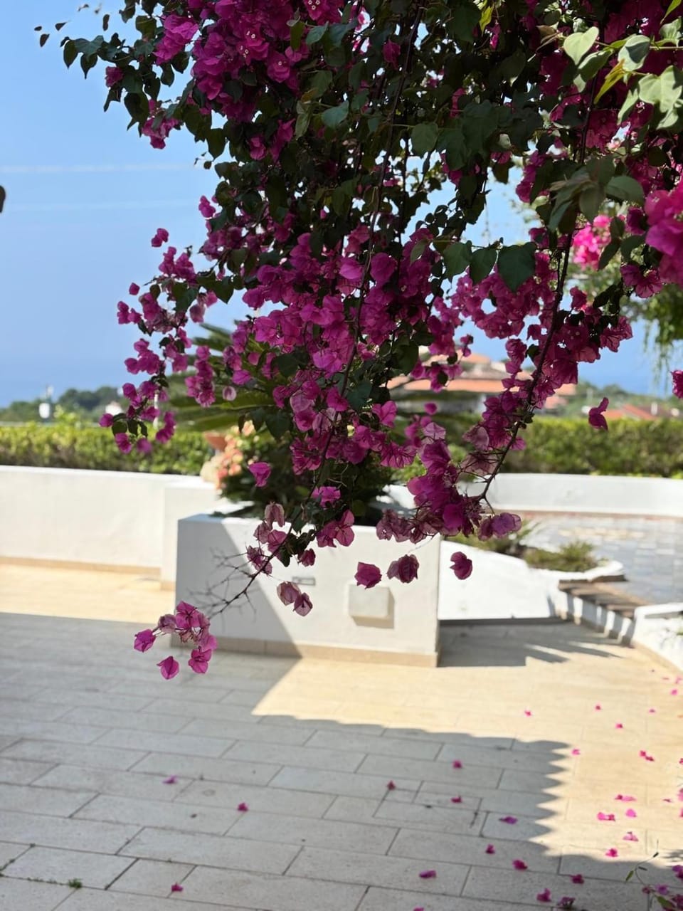 Sea view
