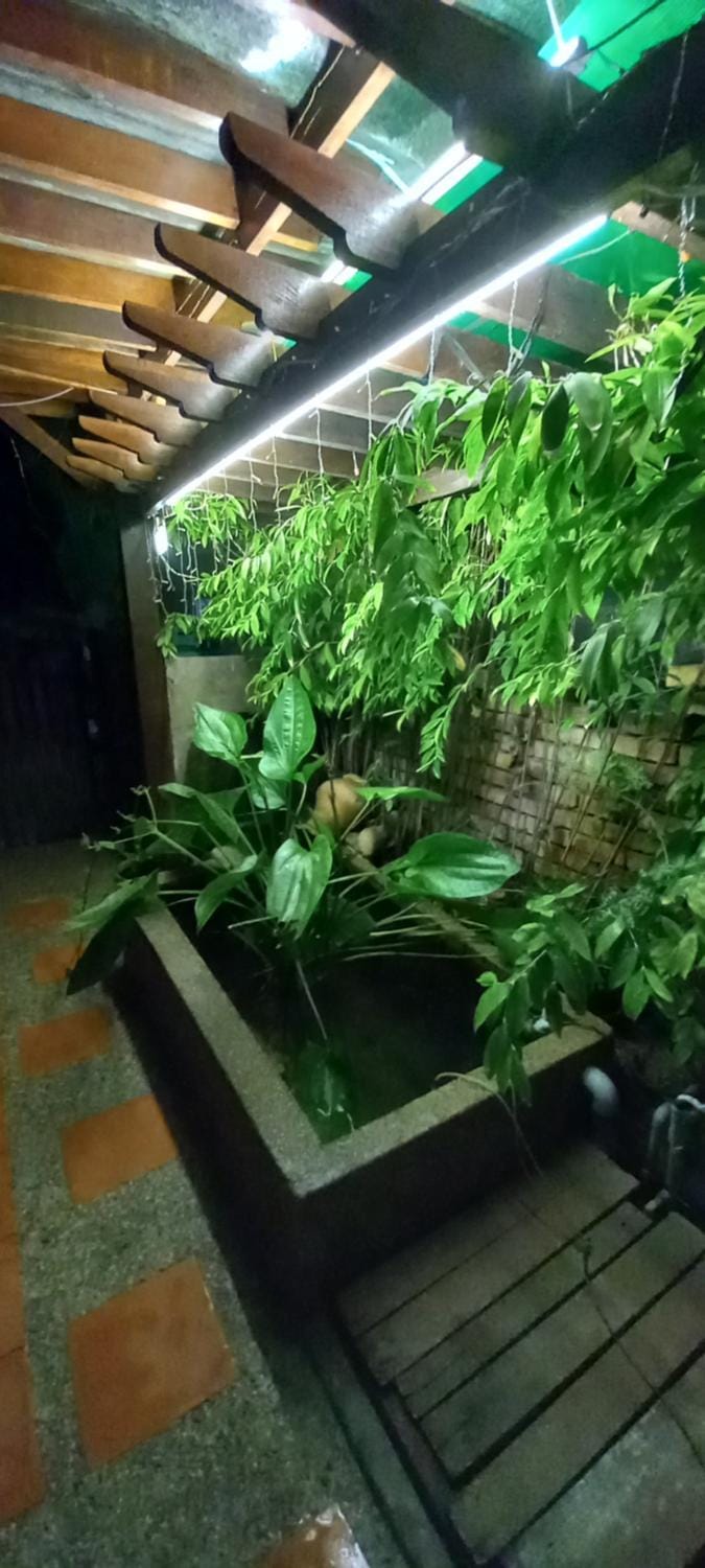 Jerry's Homestay Batu Caves Gombak Vacation rental in Selangor, Malaysia