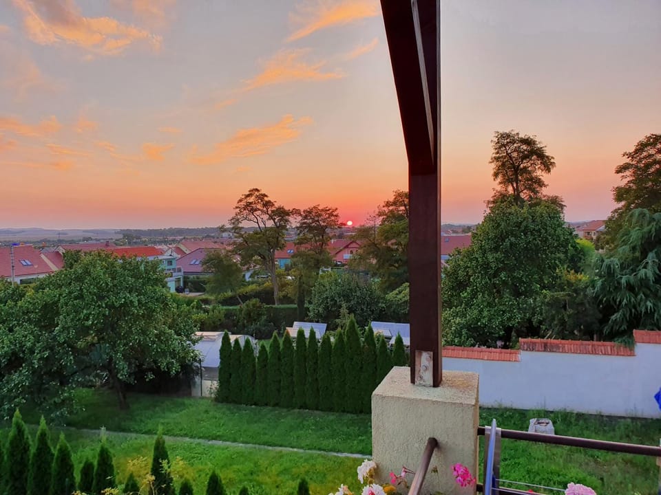 Garden, Garden view, Sunset