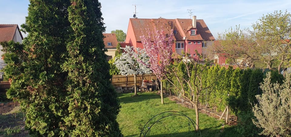 Nejklidnější spánek s vyhlídkou výhradně pro nekuřáky - VISTARIA - Na Hradbách 5 Vacation rental in South Moravian Region
