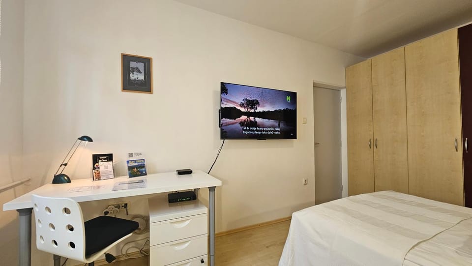 Bed, TV and multimedia, Seating area, Bedroom, wardrobe