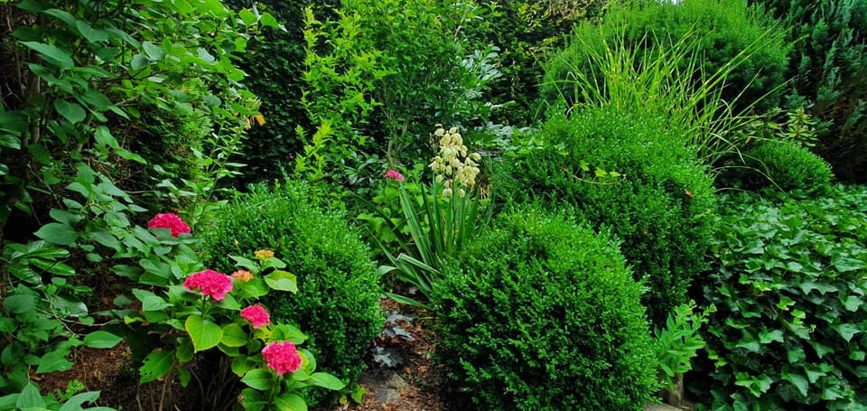 Natural landscape, Garden, Garden, Garden view
