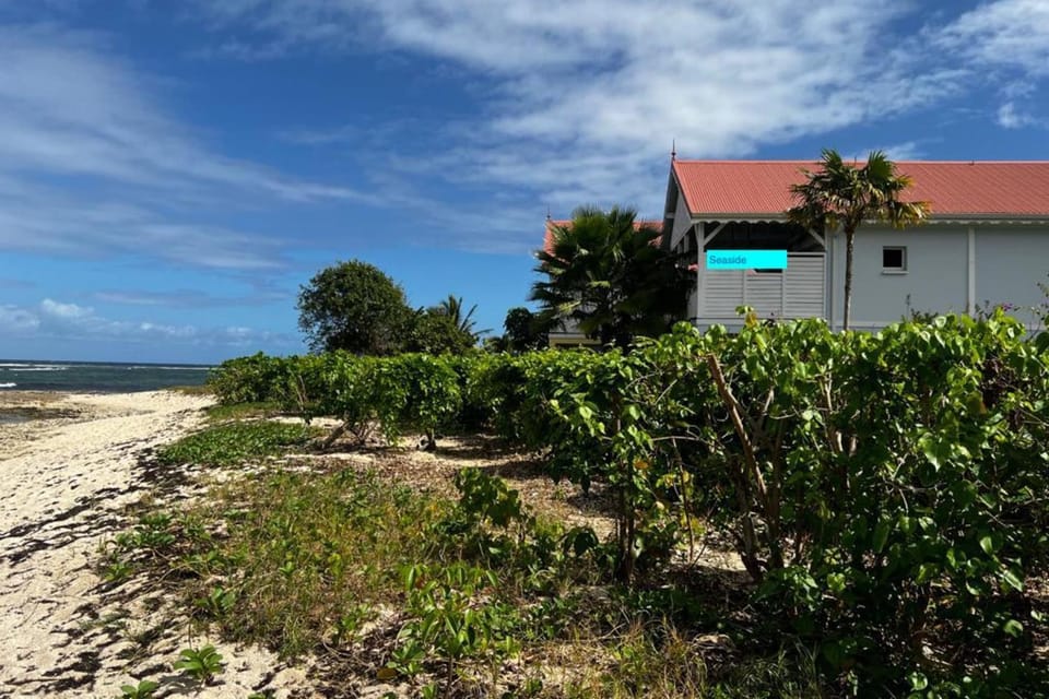 Property building, Day, Natural landscape, Beach, Sea view
