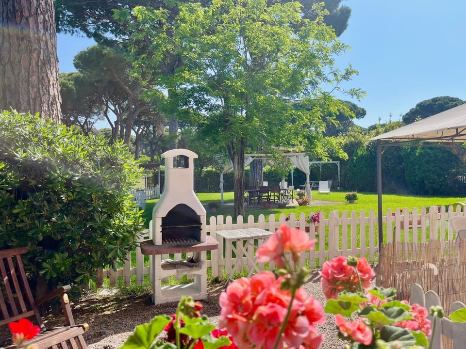 Natural landscape, Garden, Garden view
