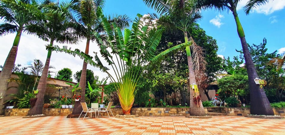 Day, Garden, Garden view