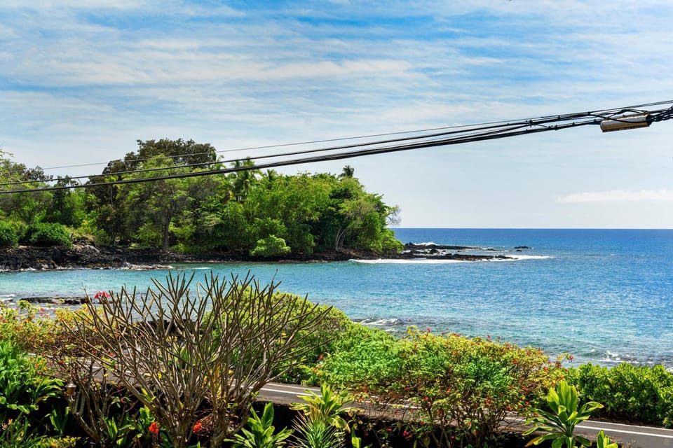 Kona Palms#201 House in Holualoa