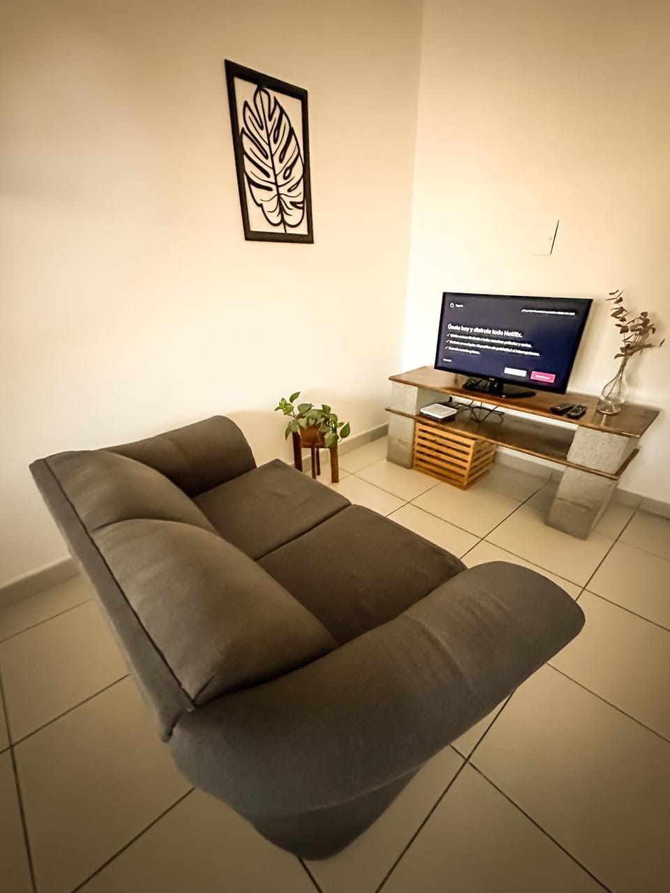 TV and multimedia, Living room