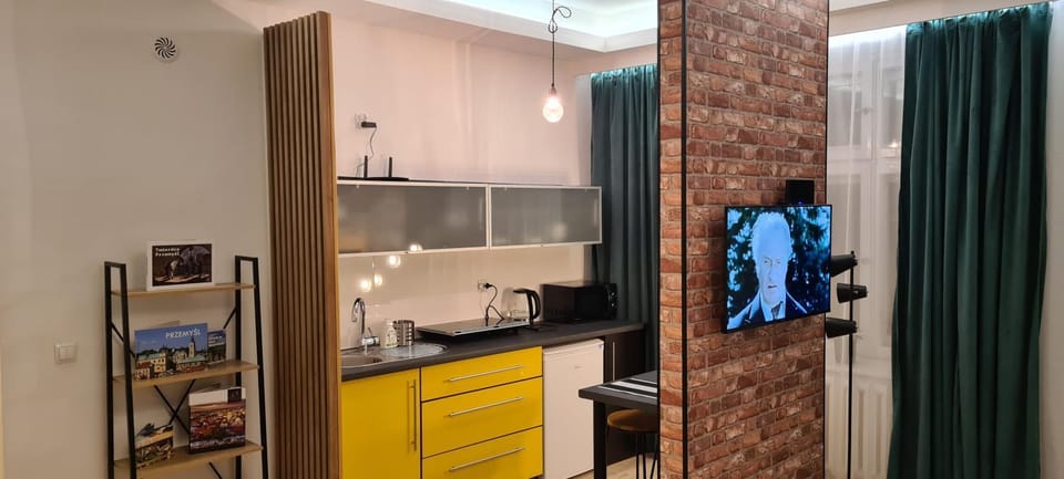 Apartament Mnisza 8 Apartment in Lviv Oblast