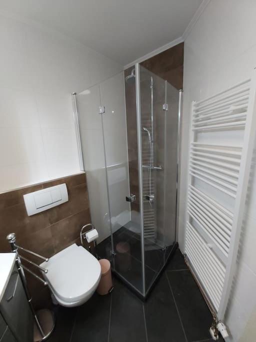 Modern 2-Room Apartment in Hockenheim with Free Parking, Wi-Fi & Reinigung Service Apartment in Hockenheim
