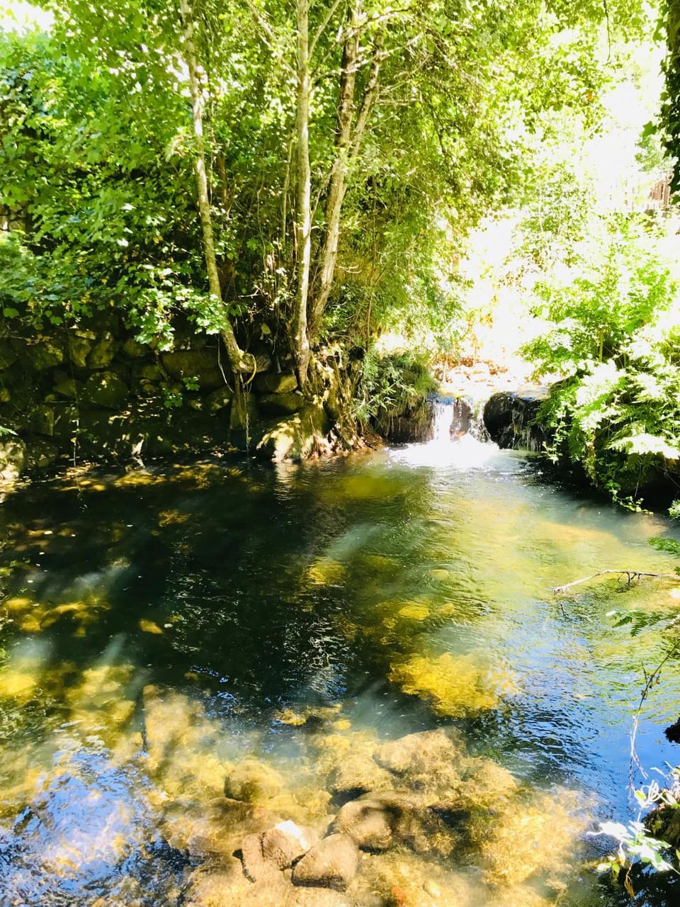 Natural landscape, River view