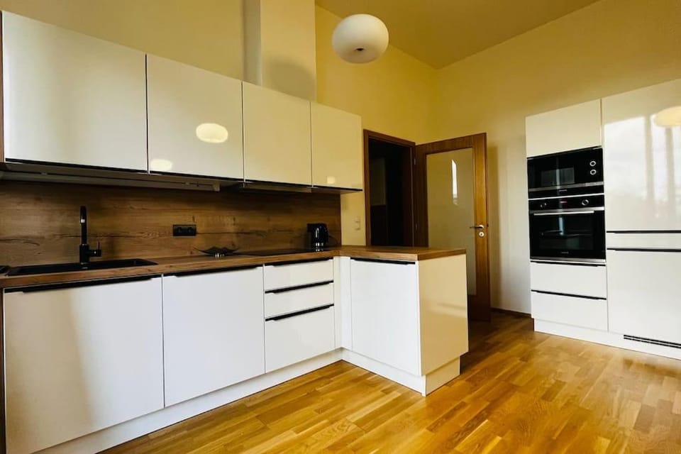 Kitchen or kitchenette, dishwasher, minibar, oven, pet friendly, stove