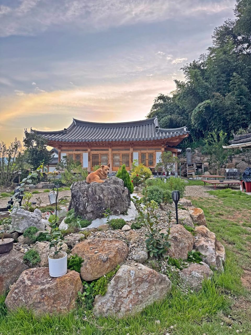 Property building