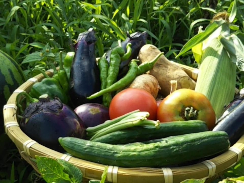 Garden, Food