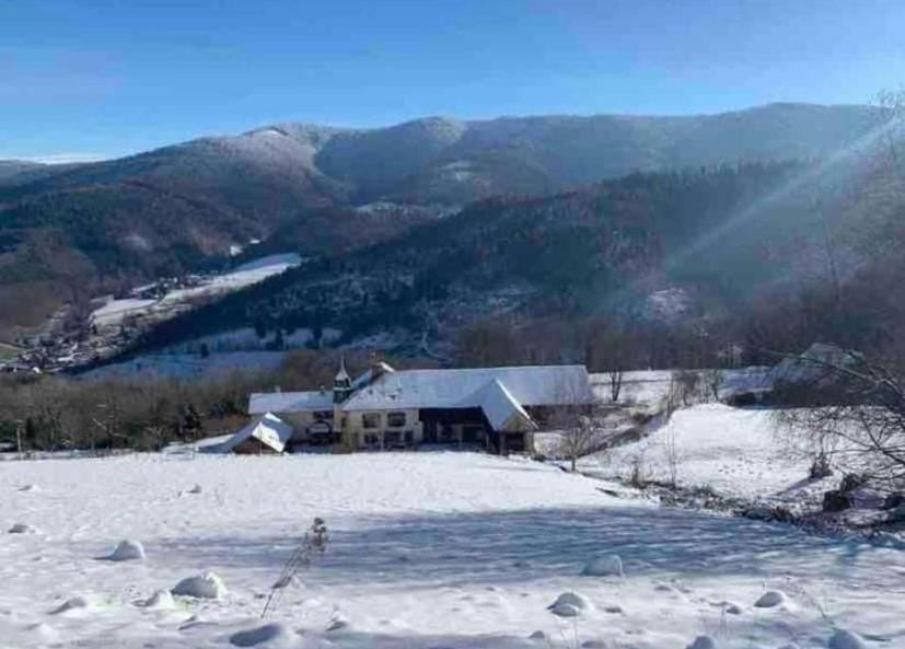 Ferme La Tourelle, nature & vue exceptionnelle Apartment in Vosges