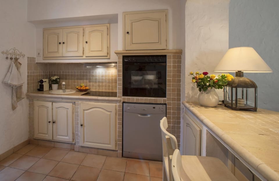 Kitchen or kitchenette, dishwasher, minibar, pet friendly, stove