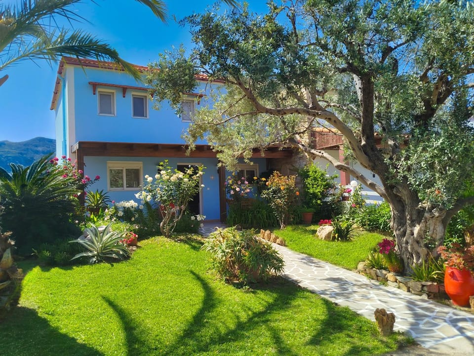 Property building, Garden, Garden view