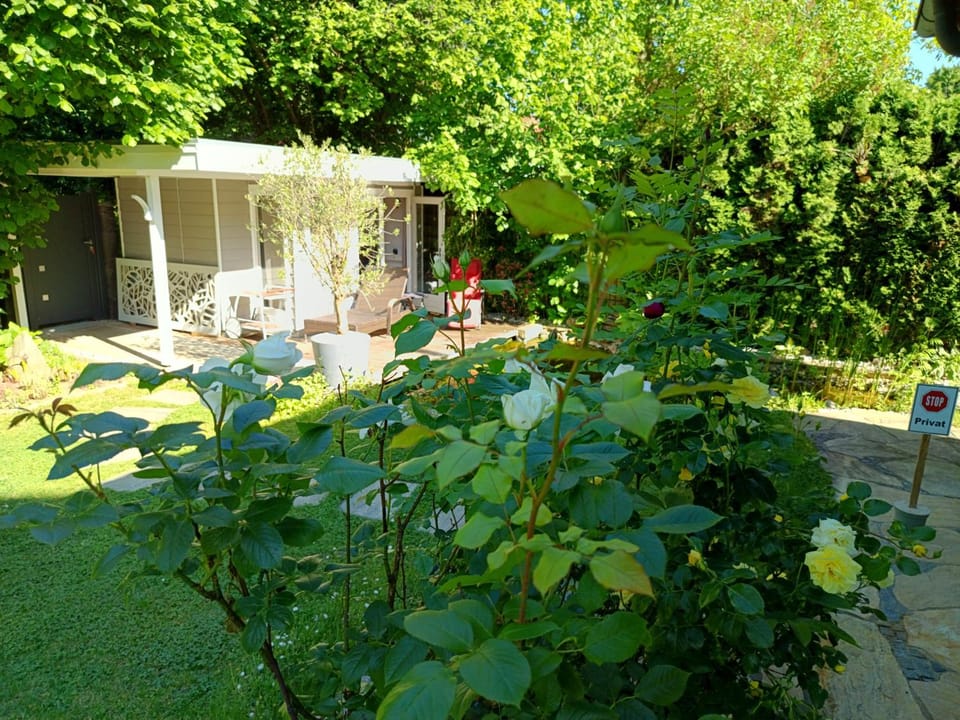 Spring, Day, Garden view