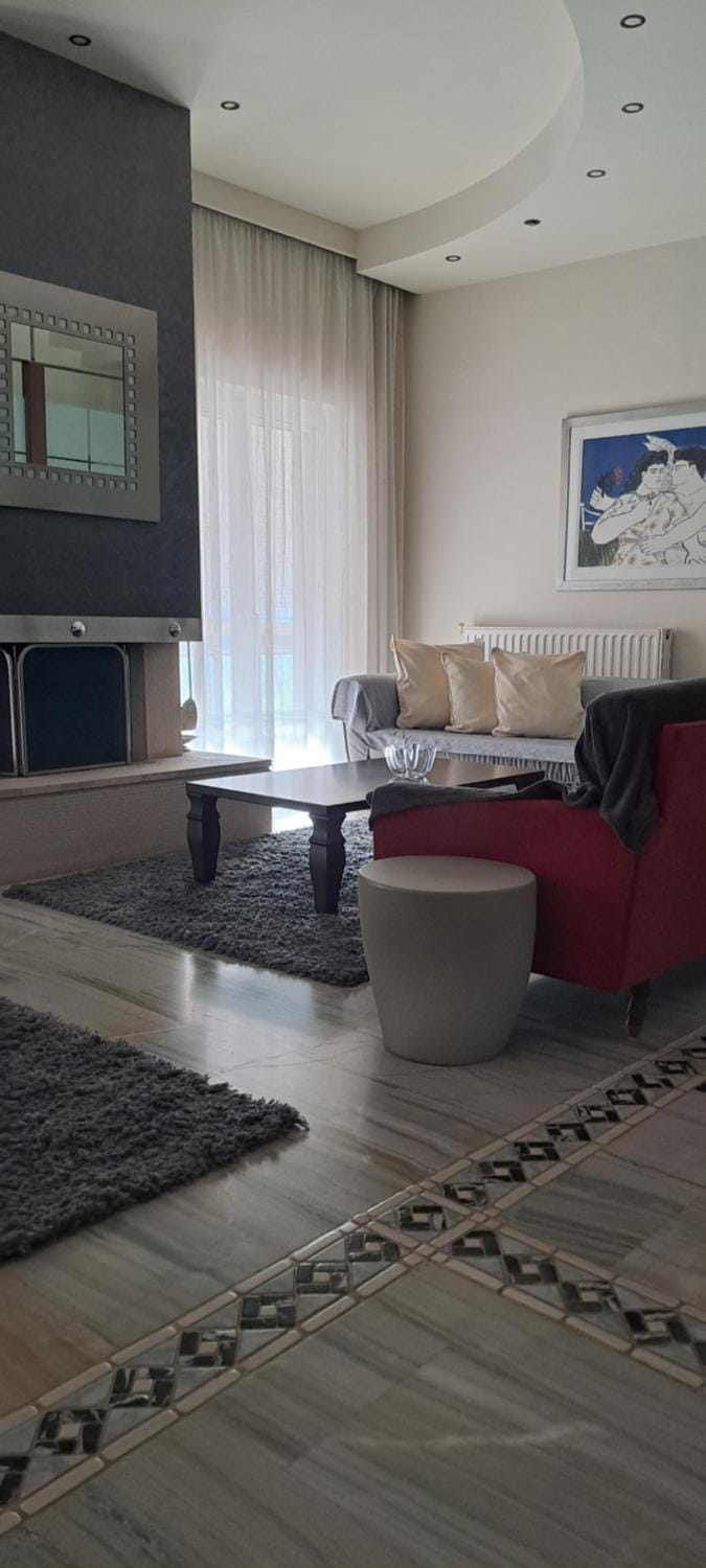 Elegante apartamento centrale Apartment in Trikala